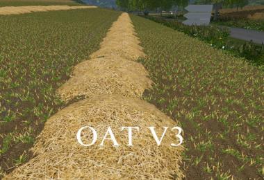 OAT TEXTURE v3.0