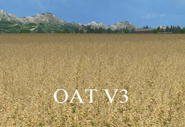 OAT TEXTURE v3.0