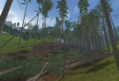 Pine trees with marks v0.9.2