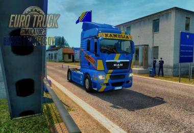 MAN TGX E5 Kamelia Skin Replica