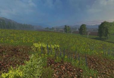 Angelner Map 2015 v1.1 with Damage Mod