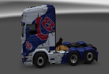 Scania R&S Topline Road Liner skin 1.24