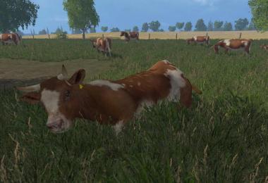 MODELS COWS v1.0