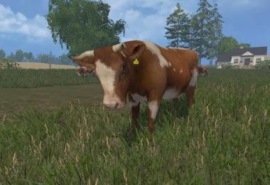 MODELS COWS v1.0