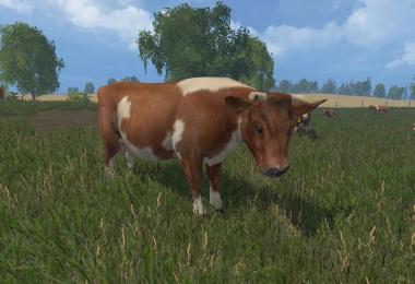 MODELS COWS v1.0