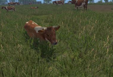 MODELS COWS v1.0