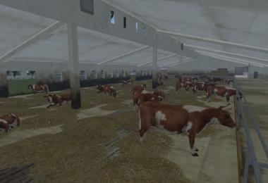 MODELS COWS v1.0