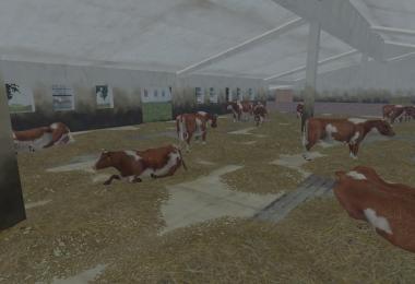 MODELS COWS v1.0