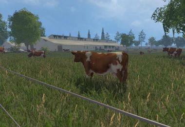 MODELS COWS v1.0