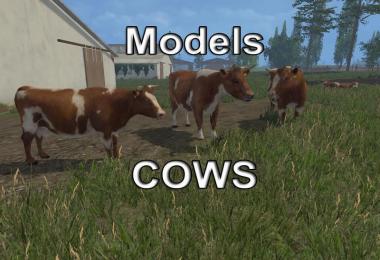 MODELS COWS v1.0