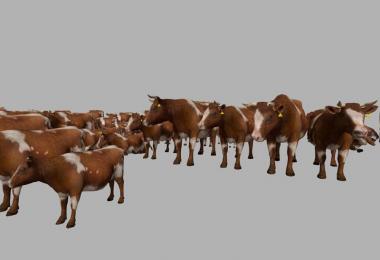 MODELS COWS v1.0