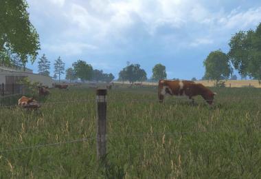 MODELS COWS v1.0