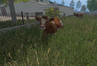 MODELS COWS v1.0