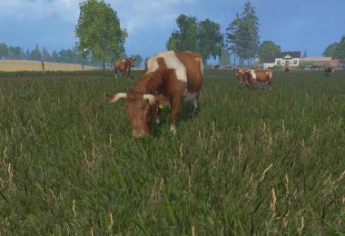 MODELS COWS v1.0