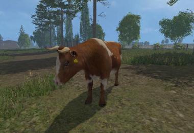 MODELS COWS v1.0