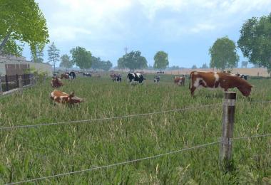 MODELS COWS v2.0