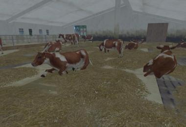 MODELS COWS v2.0