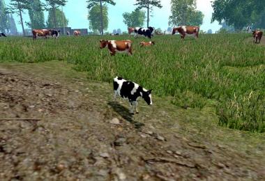 MODELS COWS v2.0