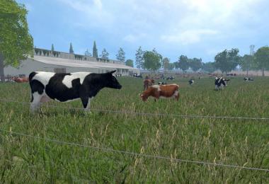 MODELS COWS v2.0