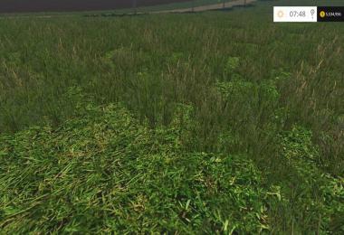 Westbridge Hills v4.0.4