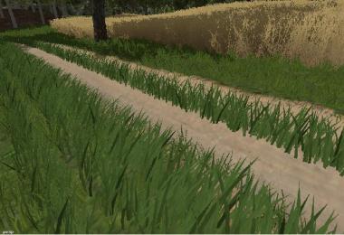 Field Road v1.0