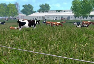 MODELS COWS v4.0