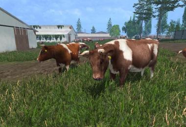 MODELS COWS v4.0