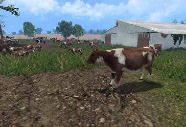 MODELS COWS v4.0