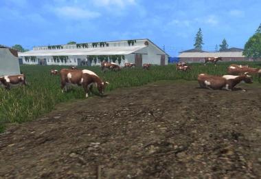 MODELS COWS v4.0