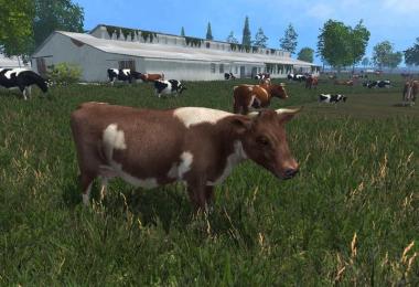 MODELS COWS v4.0