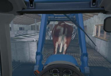 COW v1.0