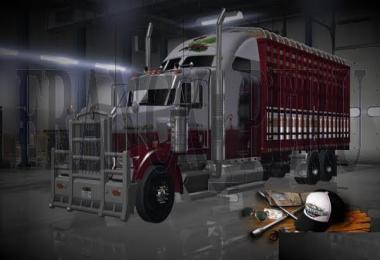 KENWORTH W900 TORTON NEW