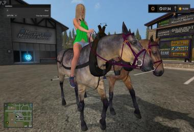 Hard Working Horses v1.0