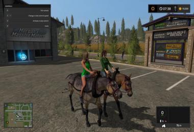 Hard Working Horses v1.0