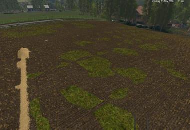 Auenbach Farming simulator 17 v2.3