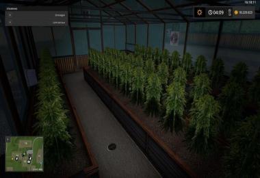 Greenhouse (hemp) v1.1.0.1