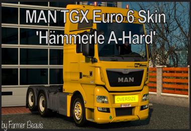 Hammerle Skin for MAN TGX E6 v1.0