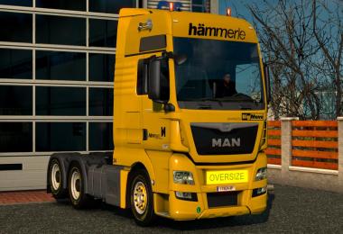 Hammerle Skin for MAN TGX E6 v1.0