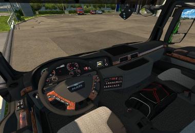 MAN TGS Euro6 v1.25.x