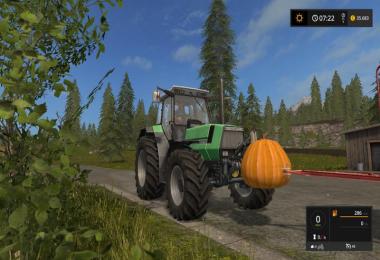 Pumpkin weight v1