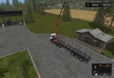 Tatra Phoenix 6x6 with forestry crane v1.0