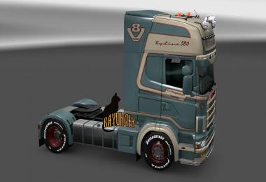 Steam Workshop::SKIN SCANIA R RODOJUNIOR