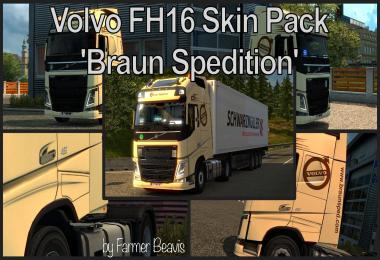 Volvo FH16 SkinPack Braun Spedition v1.5