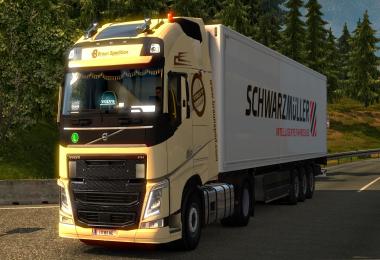 Volvo FH16 SkinPack Braun Spedition v1.5