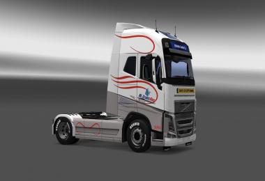 VOLVO FH16 2013 M-Transline SKIN v1