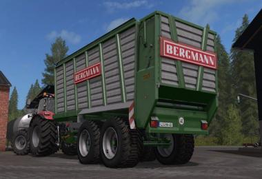 BERGMANN HTW 40 v1.0