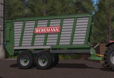 BERGMANN HTW 40 v1.0