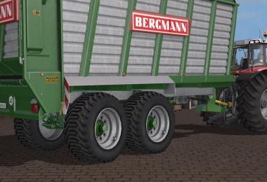 BERGMANN HTW 40 v1.0