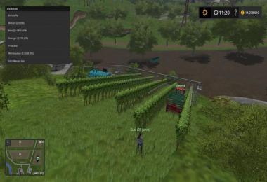 Vineyard v1.0