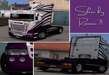 Scania RJL Romain Bonniol Skin v1.0